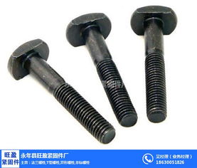 上海T型螺栓專業供應商 旺盈緊固件，金屬拉絲加工品質保障